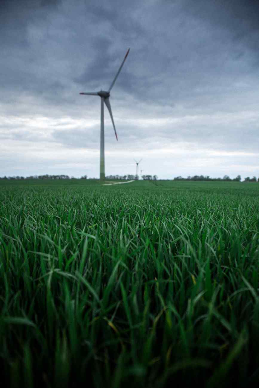 windmill-naturesafe